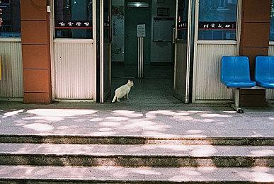 《仙剑世界》预下载&预创角开启 2月19日早8点开服