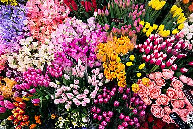 FTC仍在调查微软动视交易 要求提供更多证据